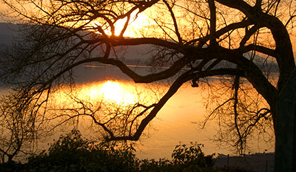 Sonnenuntergang am Bodensee bei Konstanz