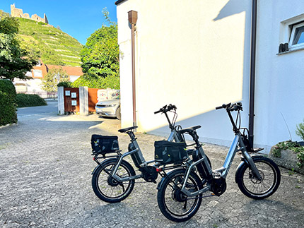 Ferienwohnung Seeblick - Staufen im Breisgau E-Bike zum Ausleihen