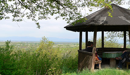 Kaiserstuhl