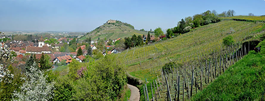 Staufen im Breisgau